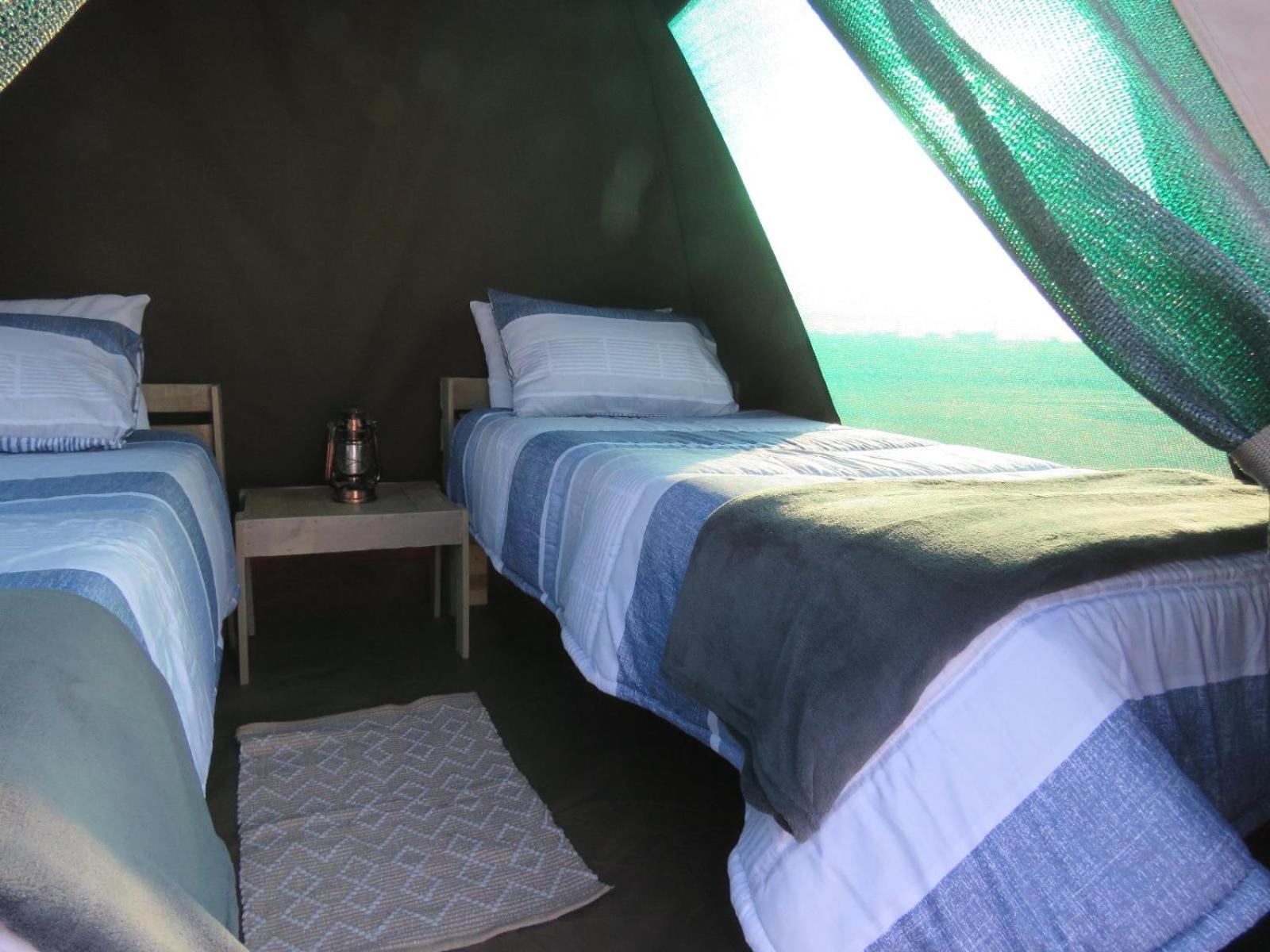 Tropic Of Capricorn Guest Farm Hotel Rehoboth Værelse billede